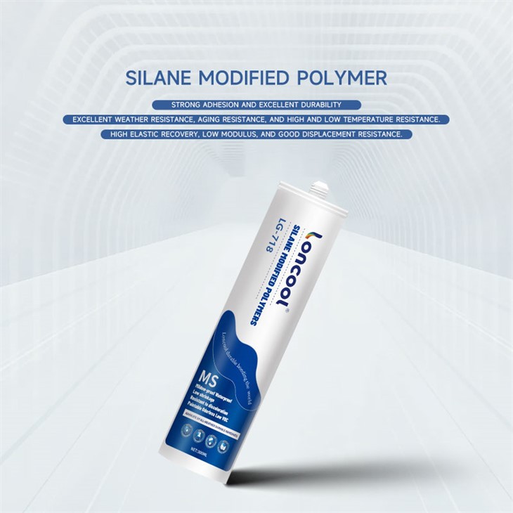 MS Silicone Sealant best