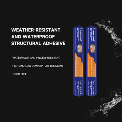 Hoʻopaʻa Silicone Sealant